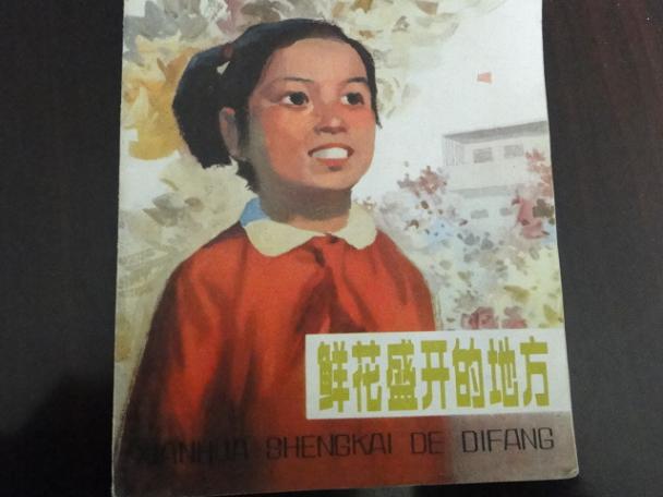 鲜花盛开的地方